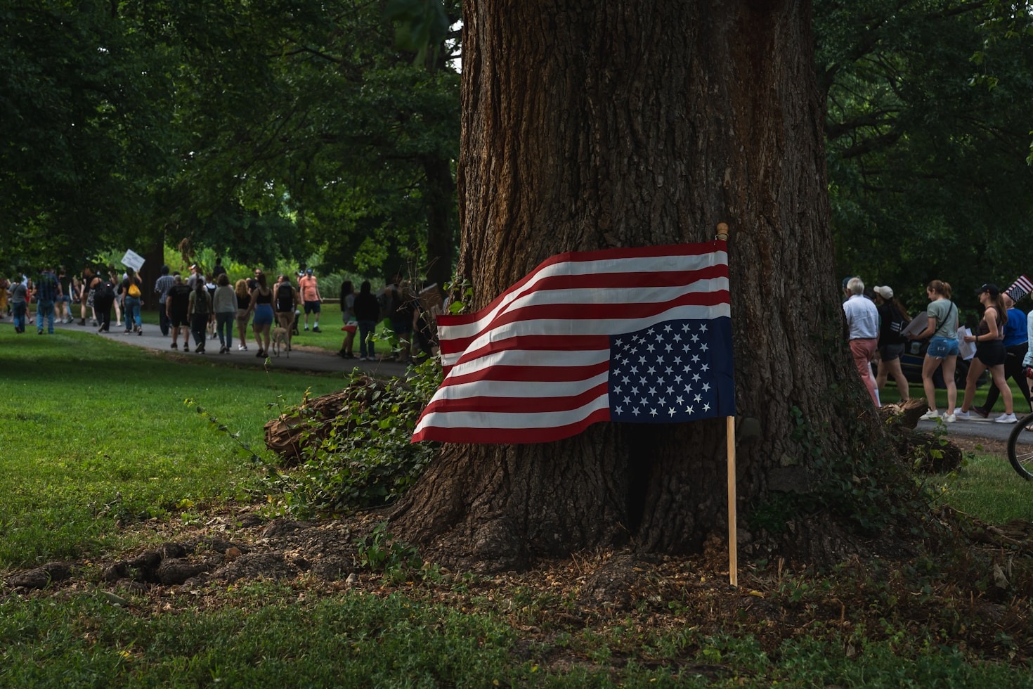 The Artistic Power of Satirical Movements