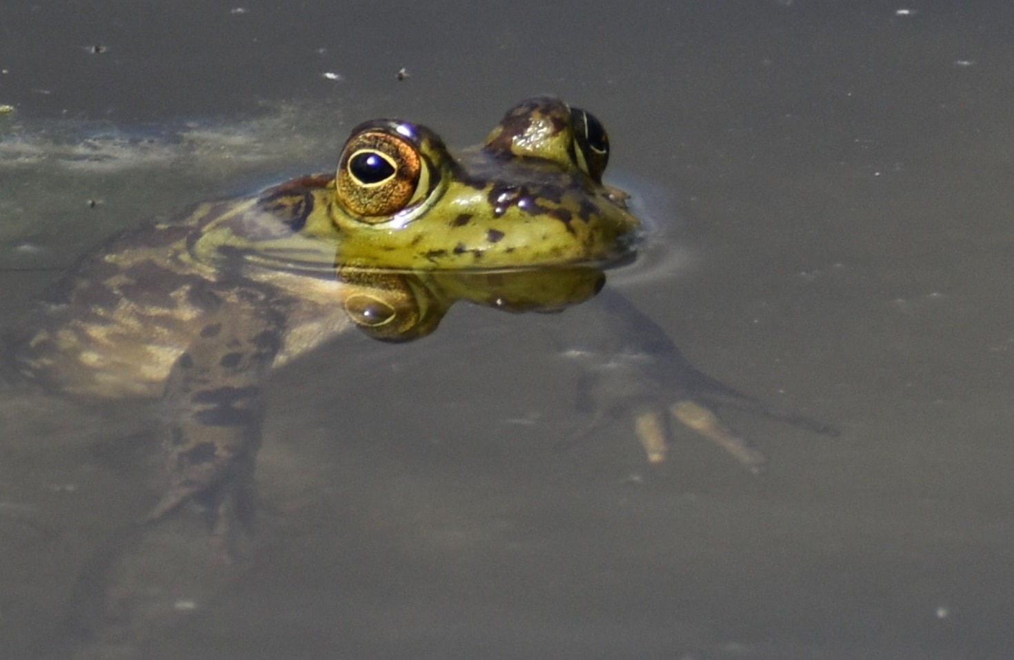 The Intersection of Storytelling and Symbolism